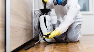 Real Estate Pest Inspections in Alexandria, AL